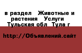  в раздел : Животные и растения » Услуги . Тульская обл.,Тула г.